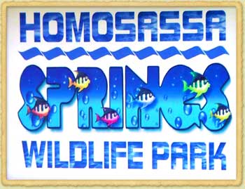 Homosassa Springs Wildlife Park